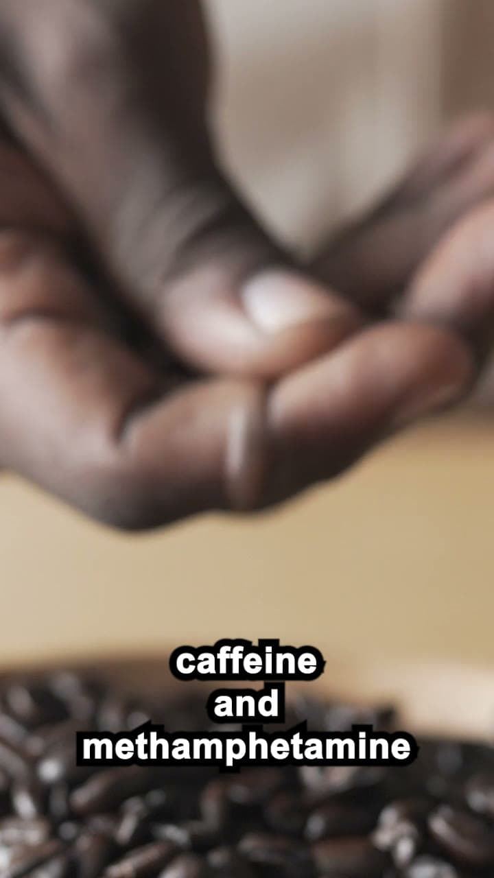 Caffeine and Meth Hit the Same Pathway, NeuroGum
